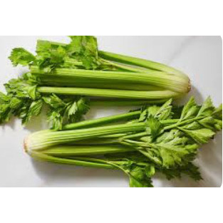 CELERY