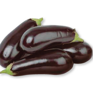 EGGPLANT