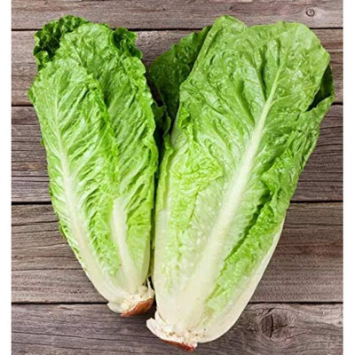 ROMAINE LETTUCE PRODUCT OF QUEBEC