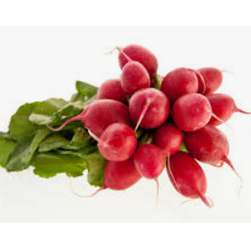 RADISH BUNCH