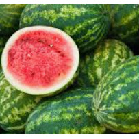 SEEDLESS WATERMELON JUMBO