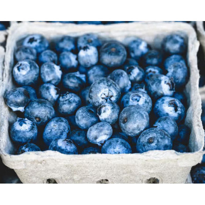 BLUEBERRIES