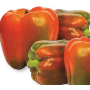  MIXED PEPPERS