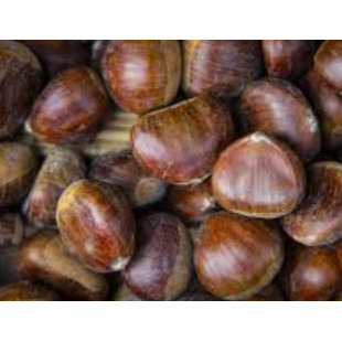 CHESTNUTS