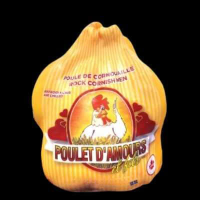 POULE DE CORNOUAILLE